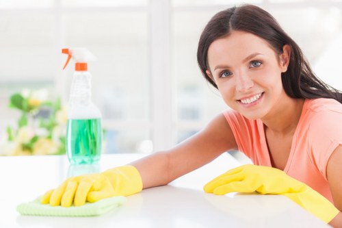 End of tenancy cleaning checklist near a rental property window