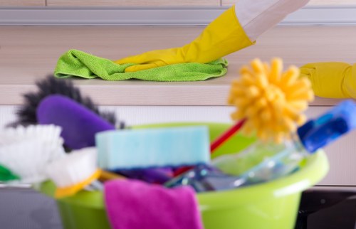 Professional move out cleaning service refreshing a living room at the end of a lease