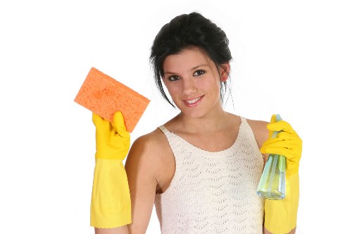 Assessing a tenancy cleaning complaint with photos and notes