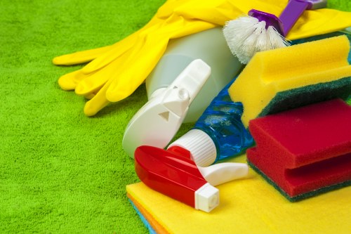 User requesting accessibility support for tenancy cleaning information