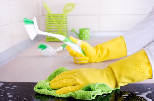 Deep cleaning checklist for London residential and business premises
