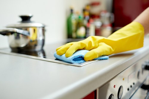 Local London cleaning service for homes and apartments