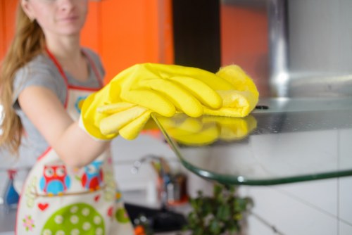 Domestic cleaning support for a busy London household