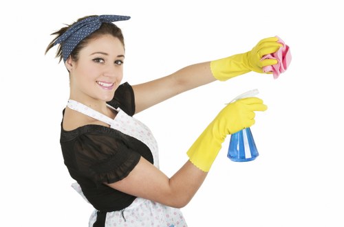 Domestic cleaning in a London flat with careful attention to detail