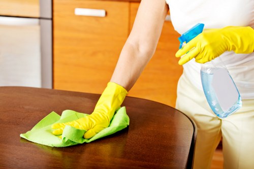 End of tenancy cleaning team working in a central London apartment